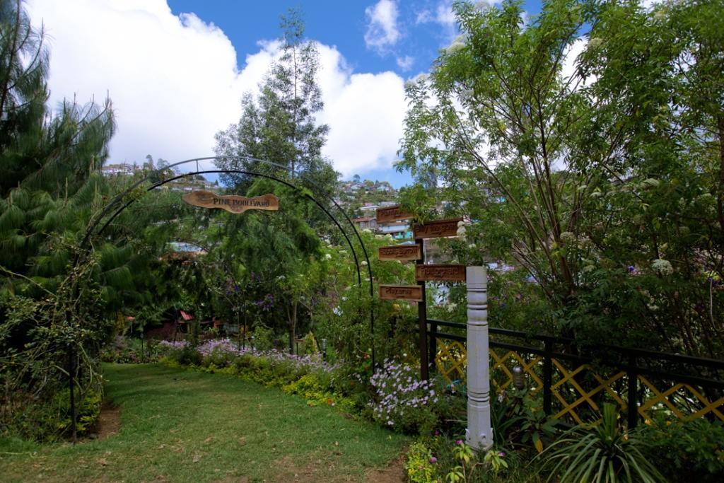 Pine Borough Inn 科代卡纳尔 外观 照片